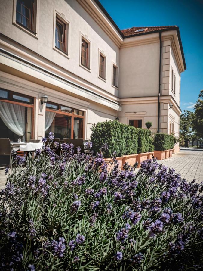 Restaurant Pansion Wien Cierny Brod Dış mekan fotoğraf